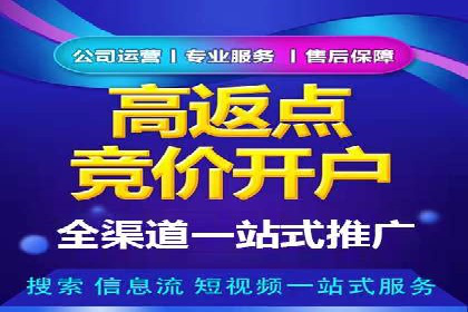 SEM推广优化策略：成功案例解析