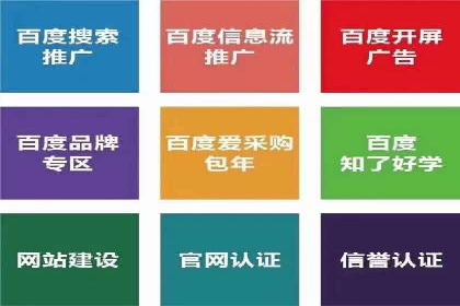 案例展示：百度推广代理助力企业拓展海外市场